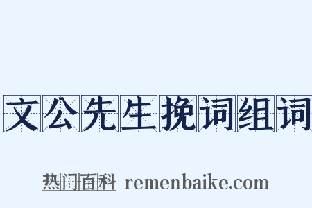 文公先生挽词组词是什么意思的图片
